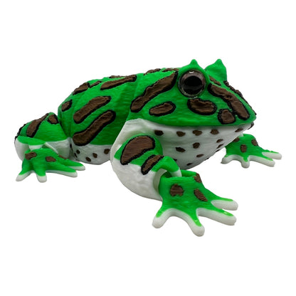 Schmuckhornfrosch  – Der gefräßige Hüpfer für dein Regal!