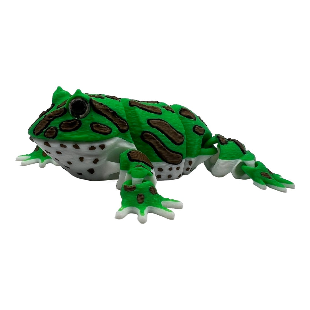 Schmuckhornfrosch  – Der gefräßige Hüpfer für dein Regal!