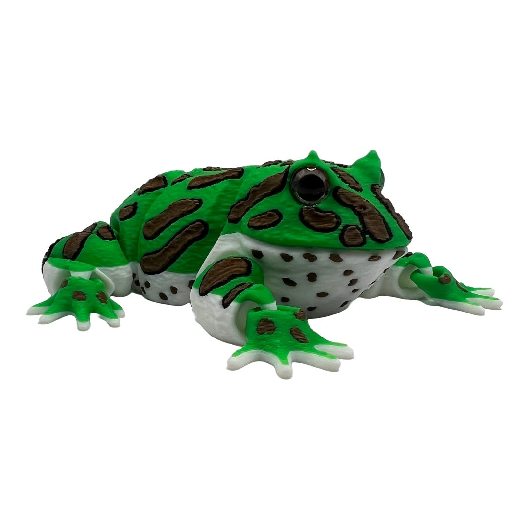 Schmuckhornfrosch  – Der gefräßige Hüpfer für dein Regal!