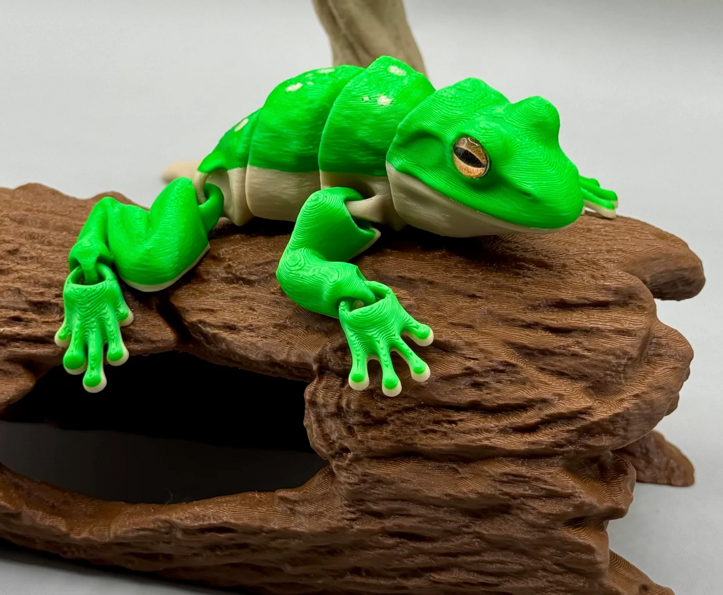 Laubfrosch – Der grüne Kletterkünstler für dein Zuhause!