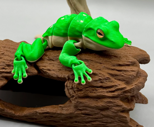 Laubfrosch – Der grüne Kletterkünstler für dein Zuhause!