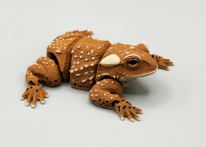American toad – The charming garden inhabitant for your home!