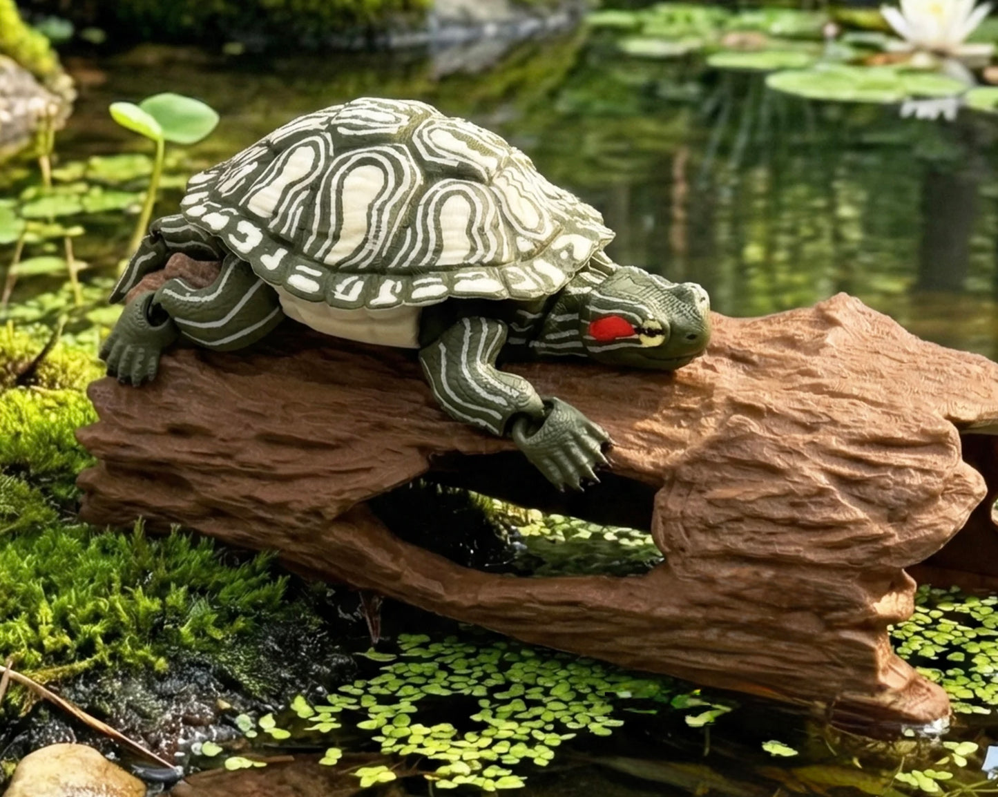 Rotwangen-Schmuckschildkröte – Ein lebensechtes Meisterwerk für dein Zuhause!